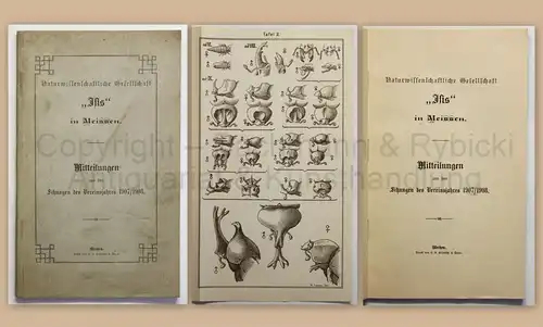 Isis in Meissen Mitteilungen 1908 Geschichte Ortskunde Landeskunde Sachsen xz