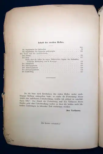 Brass Biologische Studien 1. Teil Die Organisation der thierischen Zelle 1884 js