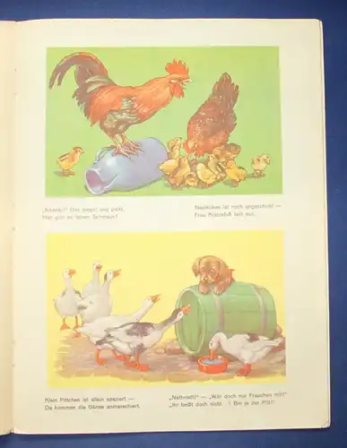 Kinderbuch Grosse Tierschau um 1930 Illustrationen Geschichten Belletristik js