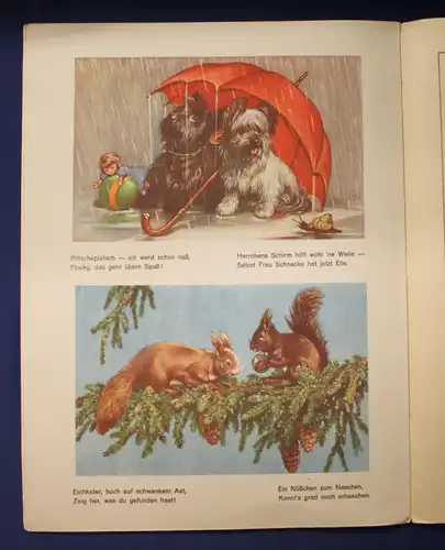 Kinderbuch Grosse Tierschau um 1930 Illustrationen Geschichten Belletristik js