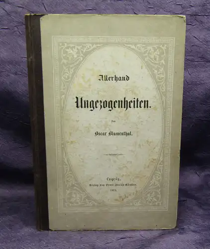 Blumenthal Allerhand Ungezogenheiten 1875 EA selten Belletristik Lyrik js