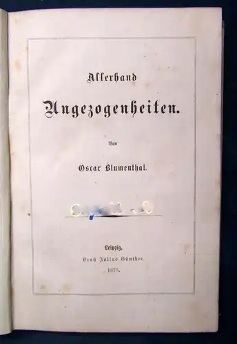 Blumenthal Allerhand Ungezogenheiten 1875 EA selten Belletristik Lyrik js