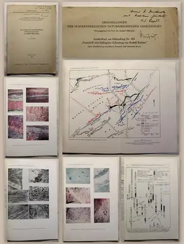 Lippert Gesteins- & Lagerstättenbildung in RoteisensteinGruben Dill-Gebiet xy