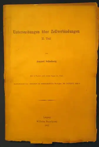 Schuberg Untersuchungen über Zelleverbindungen 1907 Bd. 87 Heft 4 Studium js