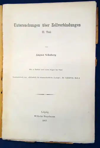 Schuberg Untersuchungen über Zelleverbindungen 1907 Bd. 87 Heft 4 Studium js