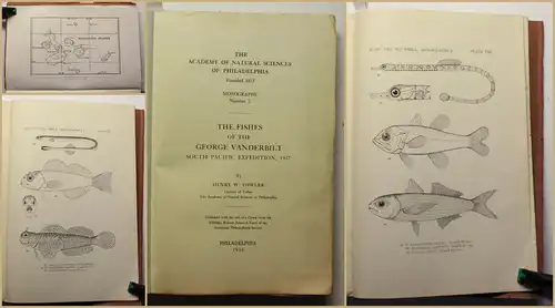 Fowler The Fishes of the G. Vanderbilt South Pacific Expedition 1938 Fische xy