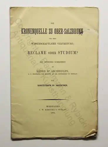 Prospekt Valentiner Kronenquelle zu Ober-Salzbrunn 1884 Schlesien Polen xz
