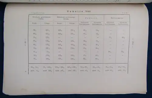 Gerassimow Ueber den Einfluss des Kerns Auf das Wachstum der Zelle 1901 js