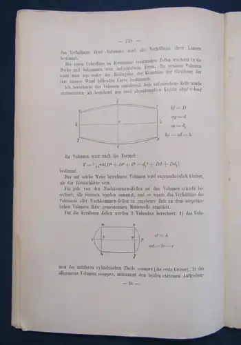 Gerassimow Ueber den Einfluss des Kerns Auf das Wachstum der Zelle 1901 js