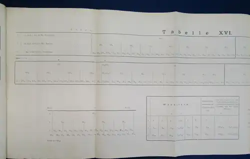 Gerassimow Ueber den Einfluss des Kerns Auf das Wachstum der Zelle 1901 js