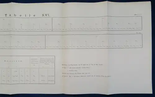 Gerassimow Ueber den Einfluss des Kerns Auf das Wachstum der Zelle 1901 js