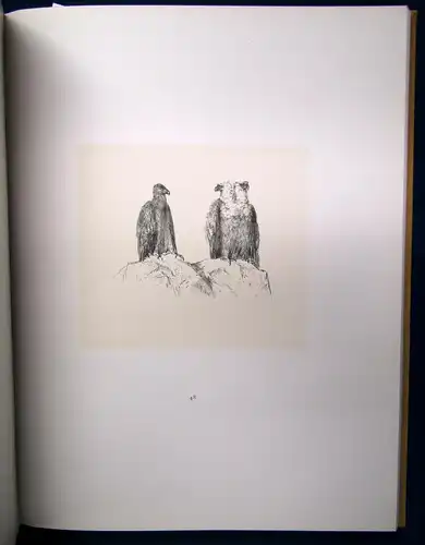 Adolph Menzel's Illustrationen zu den Werken Friedrich d. Grossen 2 Bde. 1886 js