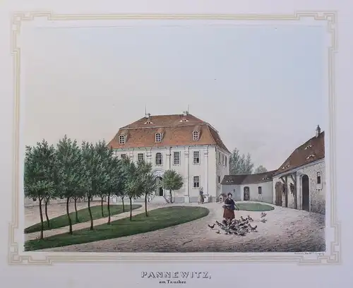 kolor. Lithografie Pannewitz Poenicke Schlösser & Rittergüter um 1855 Sachsen xz