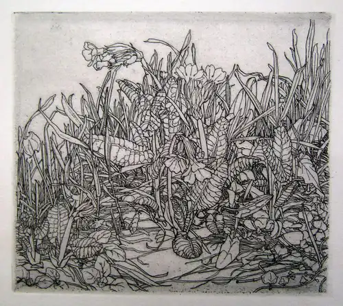 Hans Hammer Radierung "Wiesenstück mit Blumen" um 1930 Verso mit Widmung sf