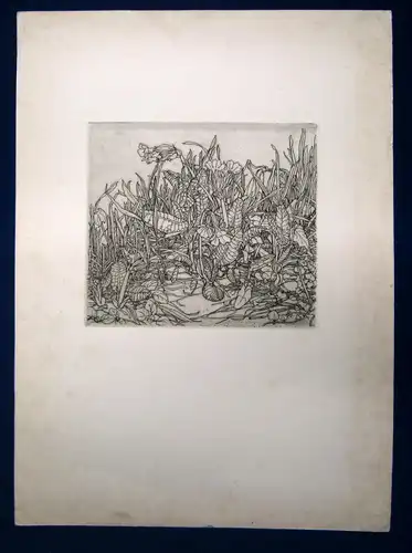 Hans Hammer Radierung "Wiesenstück mit Blumen" um 1930 Verso mit Widmung sf