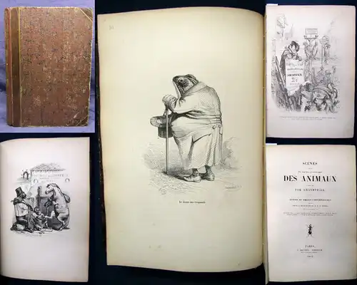 Stahl Scenes des Animaux Vignettes par Grandville 1842 Bildband 2.Bd( von 2) js