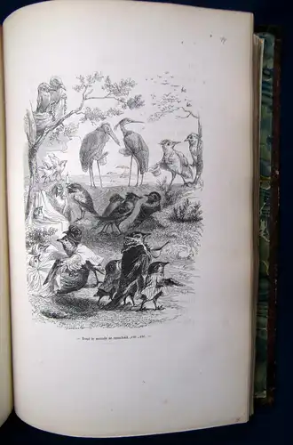 Stahl Scenes des Animaux Vignettes par Grandville 1842 Bildband 2.Bd( von 2) js