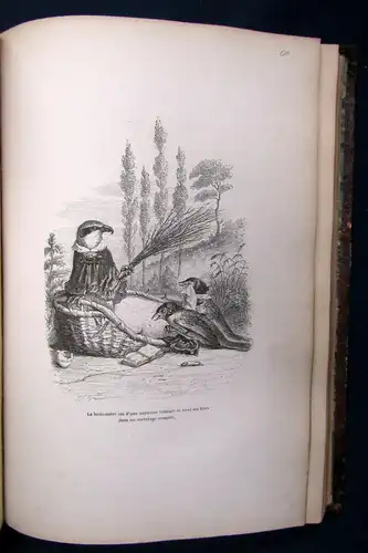 Stahl Scenes des Animaux Vignettes par Grandville 1842 Bildband 2.Bd( von 2) js