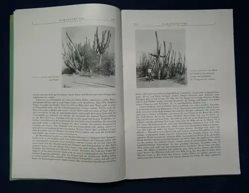 Kakteenkunde Lieferung 1-3 1941 Botanik Natur Forschung Phytologie Lehre js