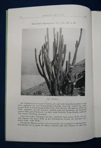 Kakteenkunde Lieferung 1-3 1941 Botanik Natur Forschung Phytologie Lehre js