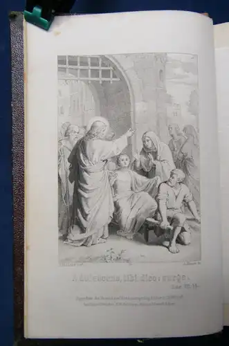 Doß Gedanken und Rathschläge gebildeten Jünglingen zur Beherzigung 1880 js