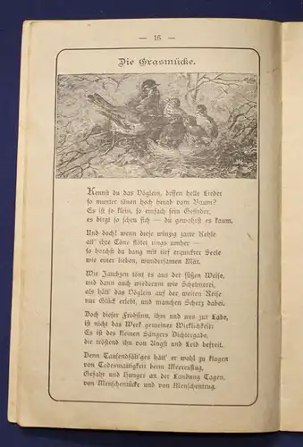 Fische Original Broschur Tierschutz- Kalender 1912 Erzählungen Tiere Zoologie js