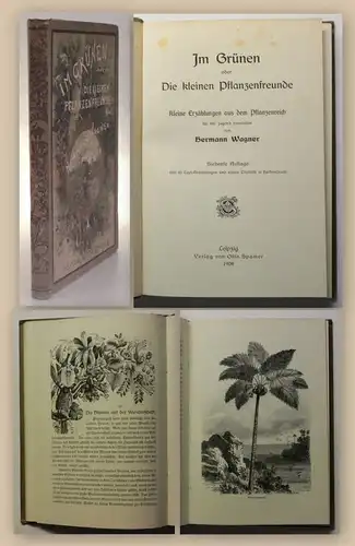 Spamer Im Grünen Die kleinen Pflanzenfreunde 1908 Erzählungen Botanik xy