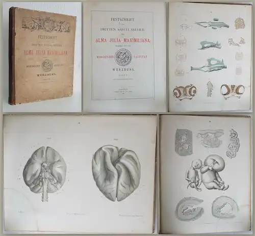 Festschrift zur 3. Saecularfeier der Alma Julia Maximiliana Würzburg 1882 - xz