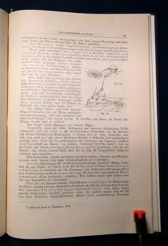 Geschichte des Eisens in Inner-Österreich Urzeit bis XIX. Jahrhunderts 1908 js