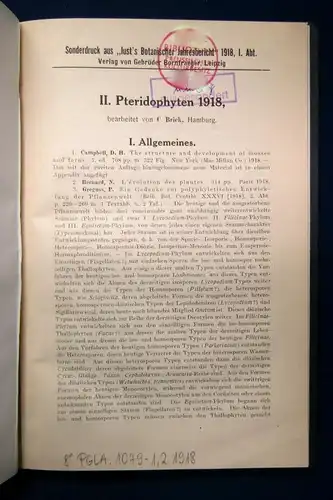 Brick II: Pteridophyten 1918 Gefäßsporenpflanzen Botanik Wissen Naturkunde  js