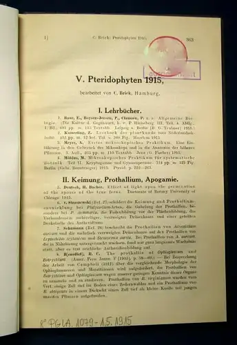 C. Brick V. Pteridophyten 1915 Gefäßsporenpflanzen Botanik Naturkunde js