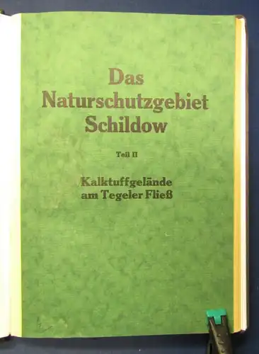 Holzheimer Das Naturschutzgebiet Schildow Teil 2 apart 1933 Kalktuffgelände  js