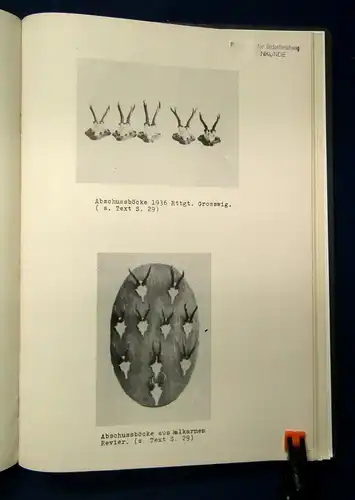 Wildschadenverhütung u. Förderung d. Gehirn u. Geweihbildung o.J. sehr selten js