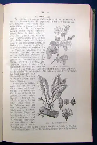 Prämienbuch Ohne Fleiss kein Preis. 1901 Lesebuch städt. u. gewerbl. Schulen js