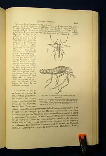 Martonne Traite De Geographie Physique 1932 Abhandlung über phys. Geographie js