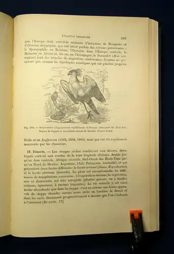 Martonne Traite De Geographie Physique 1932 Abhandlung über phys. Geographie js