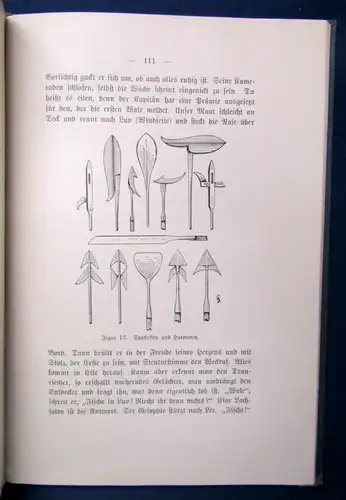 Brüning Das Meer und seine Bewohner 1 Farbtafel/ Abbildungen Naturkunde js