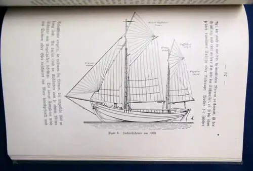 Brüning Das Meer und seine Bewohner 1 Farbtafel/ Abbildungen Naturkunde js