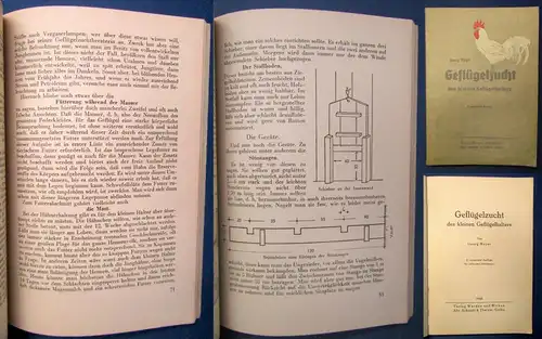 Meyer Geflügelzucht des kleinen Geflügelhalters 1948 zahlreiche Abbildungen js