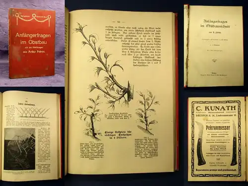 Pekrun Anfängerfragen im Obstbaumschnitt o.J. 200 Abbildungen Botanik js
