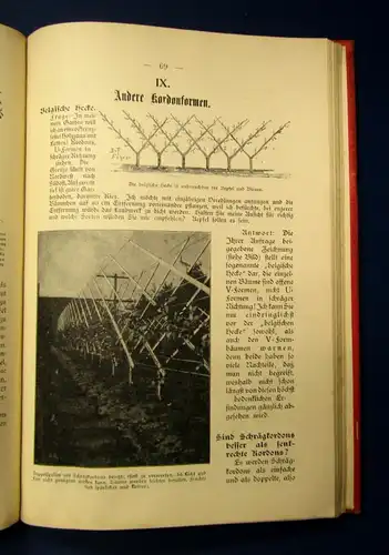 Pekrun Anfängerfragen im Obstbaumschnitt o.J. 200 Abbildungen Botanik js