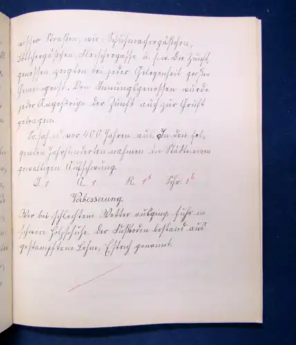 Schulaufsätze 2x von Charlotte K. aus den Jahren 1904/05 OHLn. Einblicke js