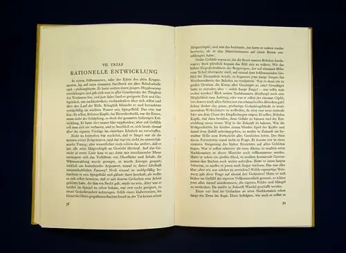 Höpner Das Chaos und andere Urweltanekdoten 1933 sehr selten Urknall Saurier mb