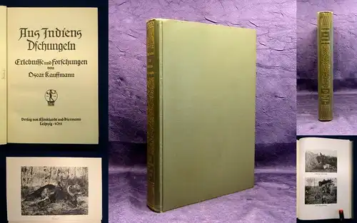 Kauffmann Aus Indiens Dschungeln Erlebnisse und Forschungen 1911 Teil1 v. 2  js