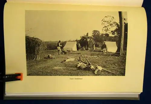 Kauffmann Aus Indiens Dschungeln Erlebnisse und Forschungen 1911 Teil1 v. 2  js