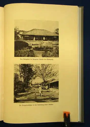 Kauffmann Aus Indiens Dschungeln Erlebnisse und Forschungen 1911 Teil1 v. 2  js