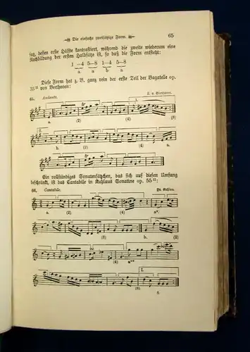 Riemann Große Kompositionslehre 2 Bde.(v.3) Homophon, Polyphon 1902  js