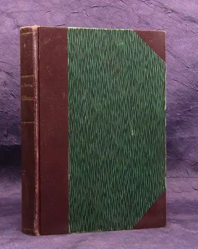 Heinz Der Triftbauer Ein Dorf-Roman seltene EA 1905 Erzählungen Belletristik js