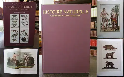 Histoire Naturelle Generale et Particuliere 2009 Bildband Folioausgabe Wissen js