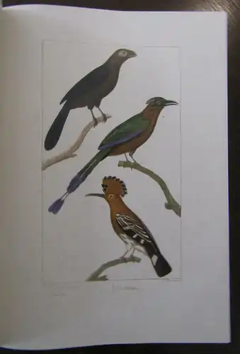 Histoire Naturelle Generale et Particuliere 2009 Bildband Folioausgabe Wissen js